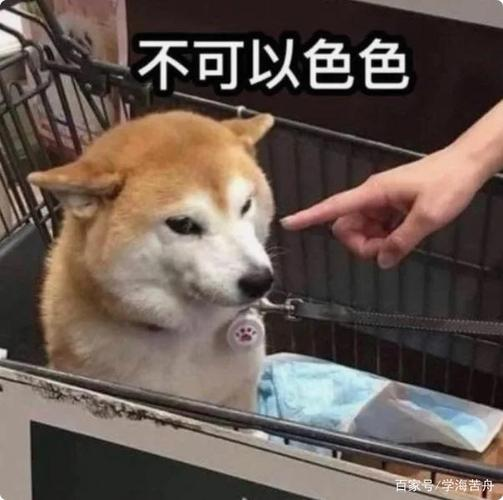 KUKI芽衣子姐妹飞机杯测评 KUKI芽衣子姐妹飞机杯测评