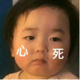 那些年关于我的青春和飞机杯 那些年关于我的青春和飞机杯