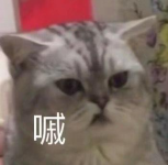 被同学强行按头买了飞机杯是什么体验 被同学强行按头买了飞机杯是什么体验