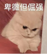 我用实际行动告诉你,用飞机杯有锻炼作用吗? 我用实际行动告诉你,用飞机杯有锻炼作用吗?