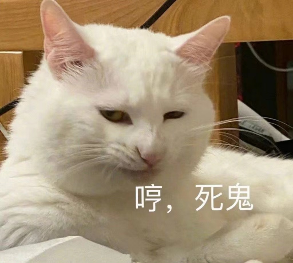 兄弟们,刚入坑就遇到了圈内天花板雅典娜!1 兄弟们,刚入坑就遇到了圈内天花板雅典娜!1