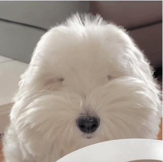 压力大,想缓解一下,蜜壺奈子可以吗?1 压力大,想缓解一下,蜜壺奈子可以吗?1