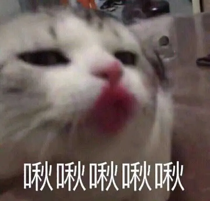 蜜壶肥妹宅对比测评 蜜壶肥妹宅对比测评