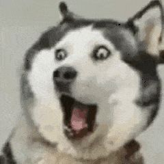最软名器诞生了——GXP魔法前线!!!1 最软名器诞生了——GXP魔法前线!!!1