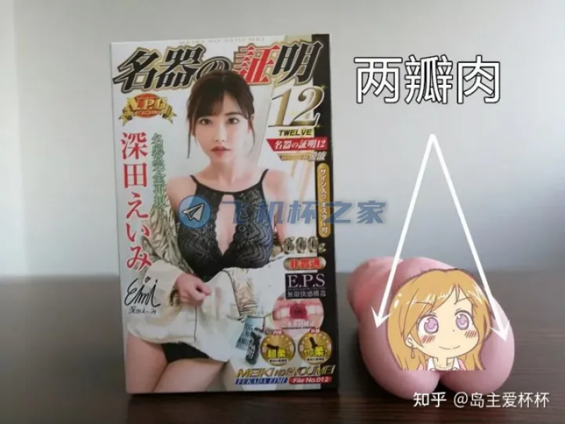 深田咏美4款杯杯横向对比评测6 深田咏美4款杯杯横向对比评测6