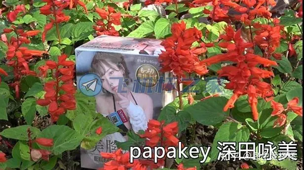 深田咏美4款杯杯横向对比评测1 深田咏美4款杯杯横向对比评测1