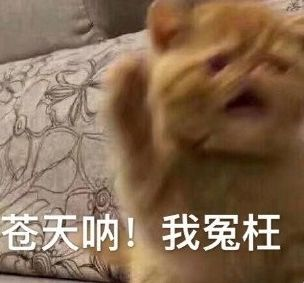 吃土学生党,也能拥有的飞机杯 吃土学生党,也能拥有的飞机杯