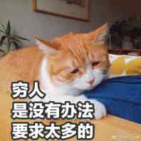 吃土学生党,也能拥有的飞机杯1 吃土学生党,也能拥有的飞机杯1
