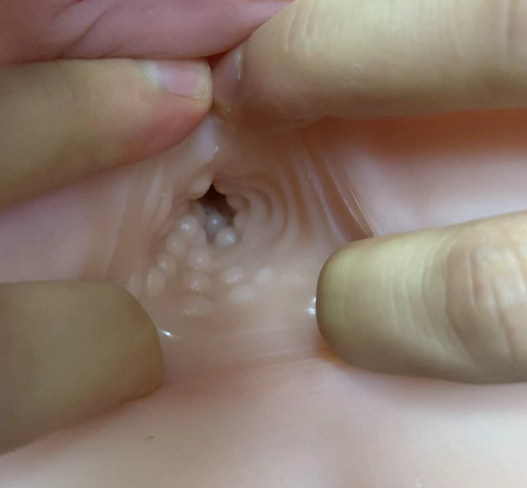 美国taisen屁股系列芭芭拉飞机杯推荐名器真人倒模男用飞机杯测评4