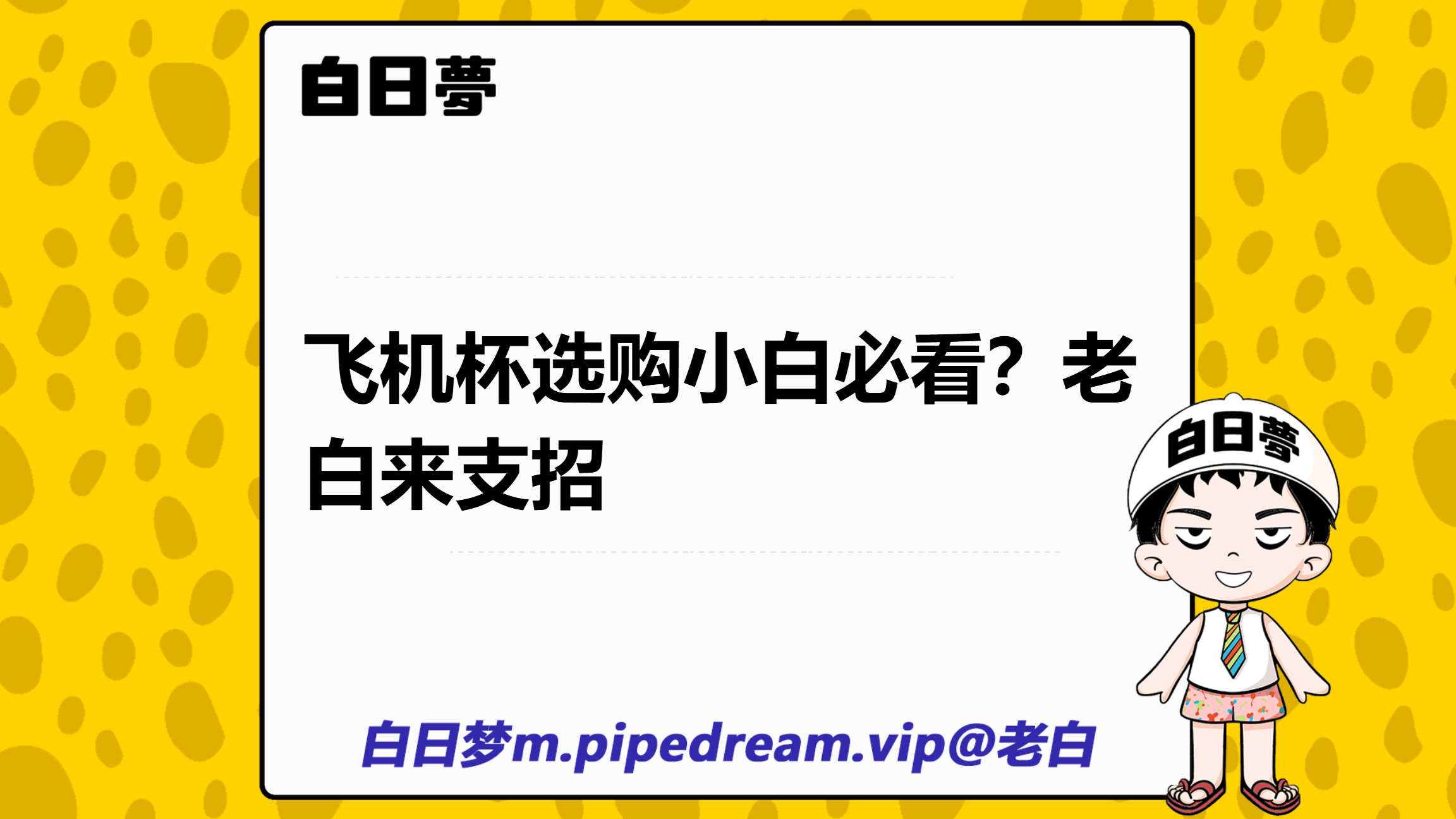 老白的飞机杯测评：新手必看的选购指南