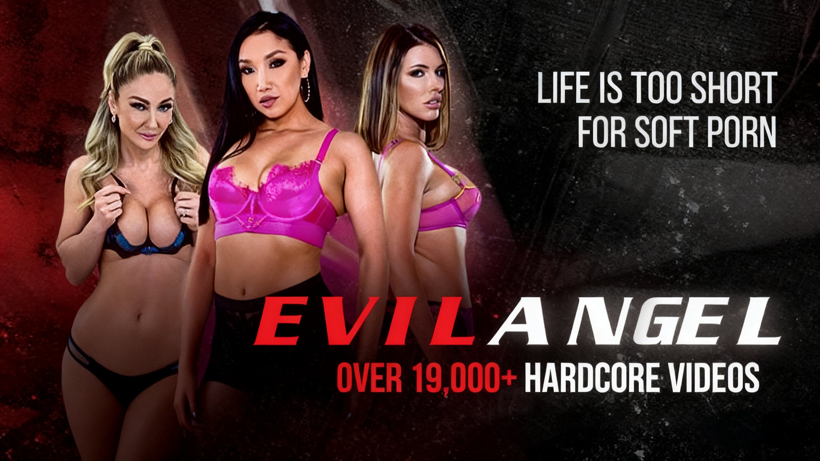 Evil Angel 深度叙事：从颠覆行业的影像帝国到情趣美学的缔造者3