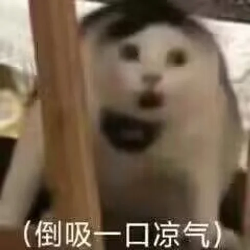 便携小巧飞机杯推荐 – 宿舍党出差党隐蔽携带完全指南6