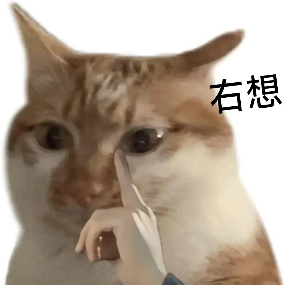 2026慢玩杯推荐：敏感体质这几款别错过