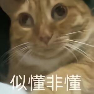 第一次下单犹豫了三天,买飞机杯这事真没那么丢人 第一次下单犹豫了三天,买飞机杯这事真没那么丢人