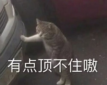 从柔情猫娘到GO朕的后宫,再到对子哈特,谈谈这几个月体验三款飞机杯的感受4 从柔情猫娘到GO朕的后宫,再到对子哈特,谈谈这几个月体验三款飞机杯的感受4