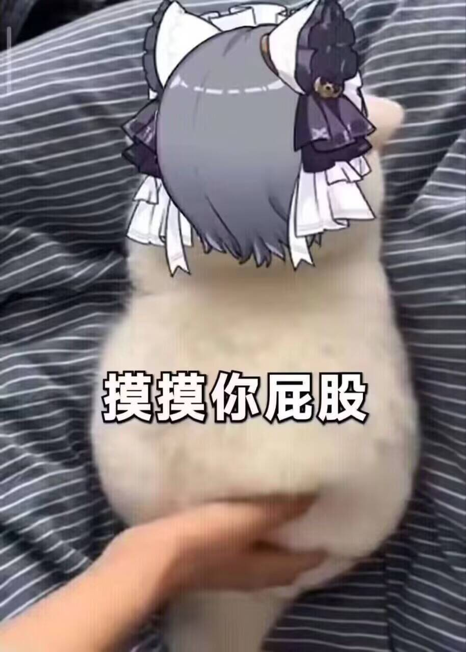 百元出头学生党飞机杯/斐济杯/圣杯推荐：小巧便携、宿舍收纳、高性价比3