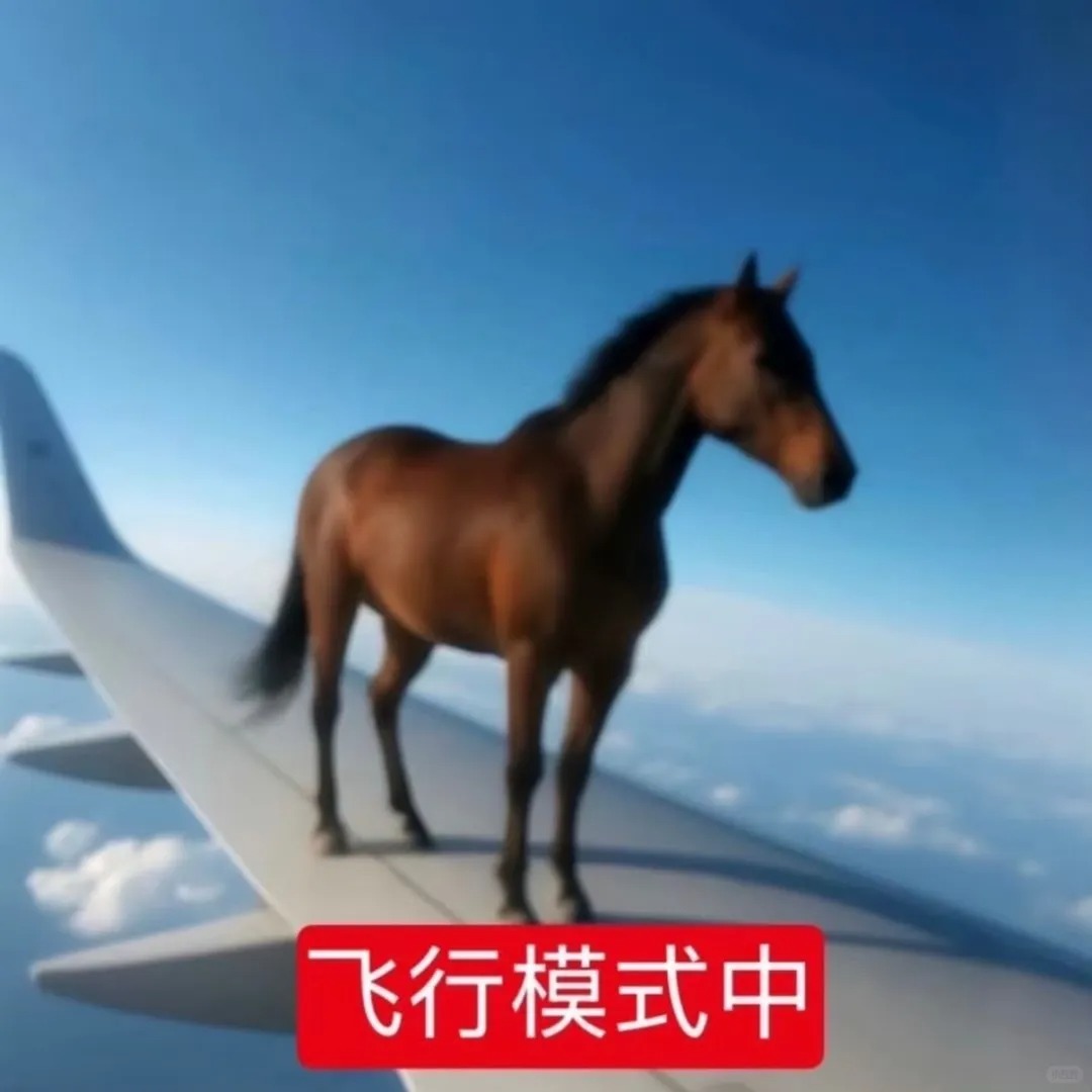 浅浅谈一下飞机杯、名器、倒模三者的区别