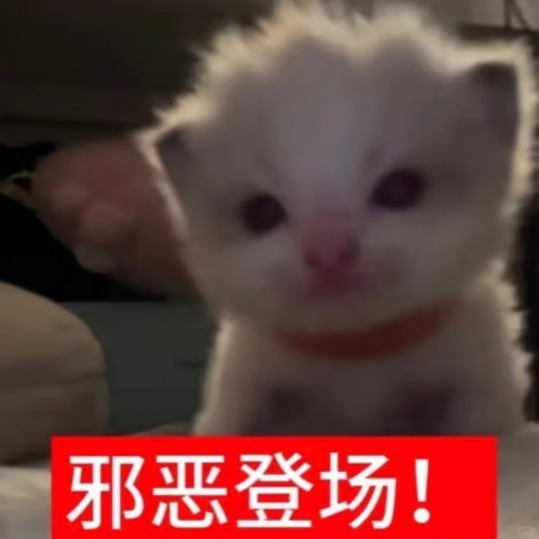 飞机杯买来第一次到底该怎么用？一篇文章一次说清！2