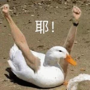 “牛乳池爬出来的香气天使”— 泳池天使(中刺激)评测11 “牛乳池爬出来的香气天使”— 泳池天使(中刺激)评测11