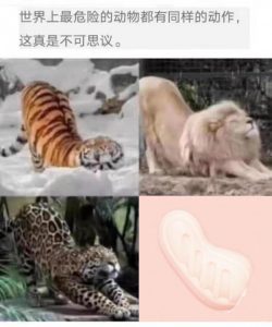 “我的*宫恋爱物语果然有问题!”—弯曲*宫评测6 “我的*宫恋爱物语果然有问题!”—弯曲*宫评测6