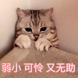 “锻炼的关键是爱心!”—R18评测5 “锻炼的关键是爱心!”—R18评测5