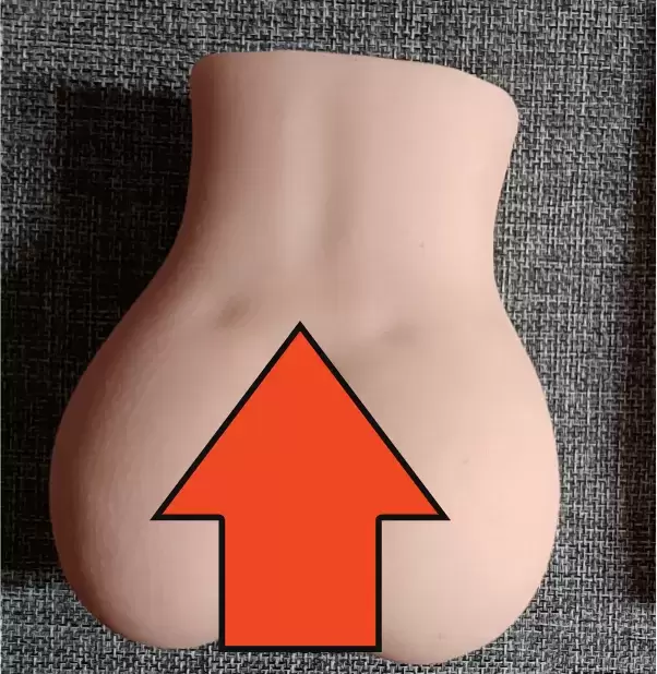 造型可爱的小小臀-杯多多小萌臀飞机杯名器测评2