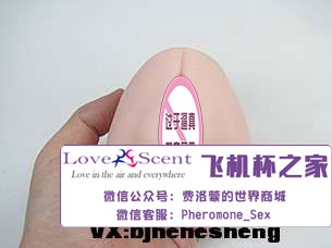 日本Ride Japan VDD动漫名器高肉厚包裹二次元男用飞机杯实测9