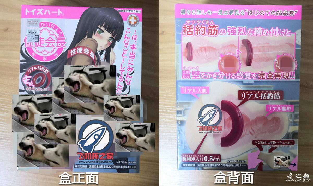 “黑猫会长初体验”—对子哈特性徒会长（中高刺激）评测 – ¥200-400区间 – 3星推荐2