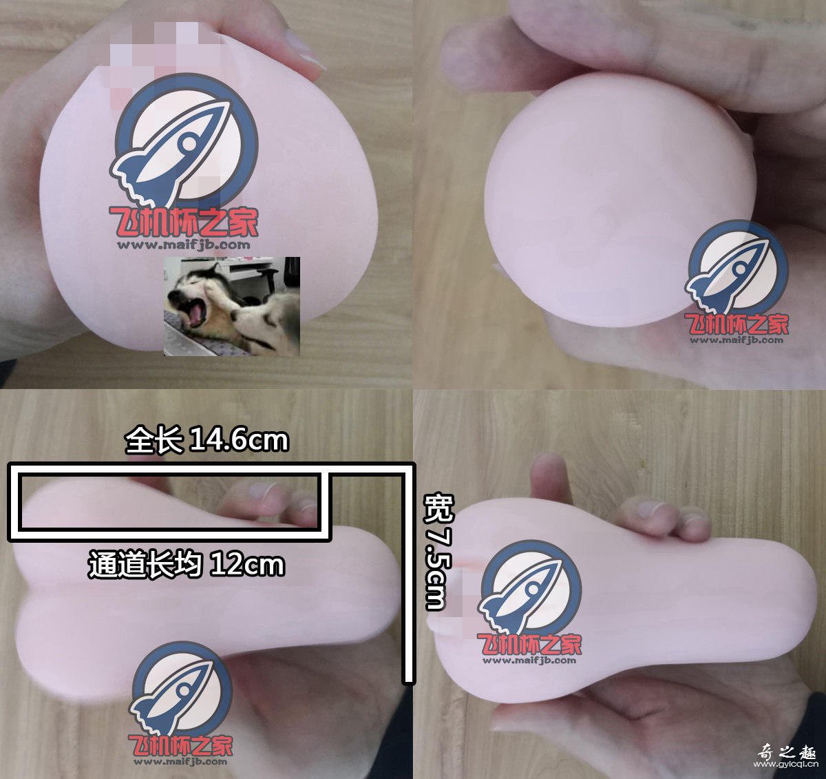 “黑猫会长初体验”—对子哈特性徒会长（中高刺激）评测 – ¥200-400区间 – 3星推荐4