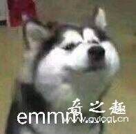 “很强烈但很有意思的突破感！”—Magic eyes极彩子宫（适中刺激）评测 – ¥200-400区间 – 3星推荐7