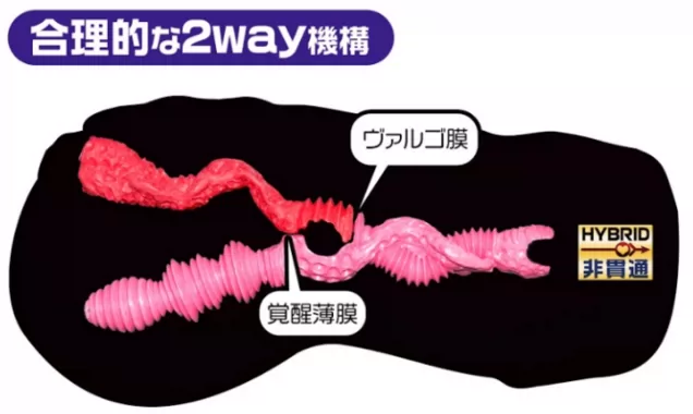 原创：Magic Eyes玫瑰新娘测评3