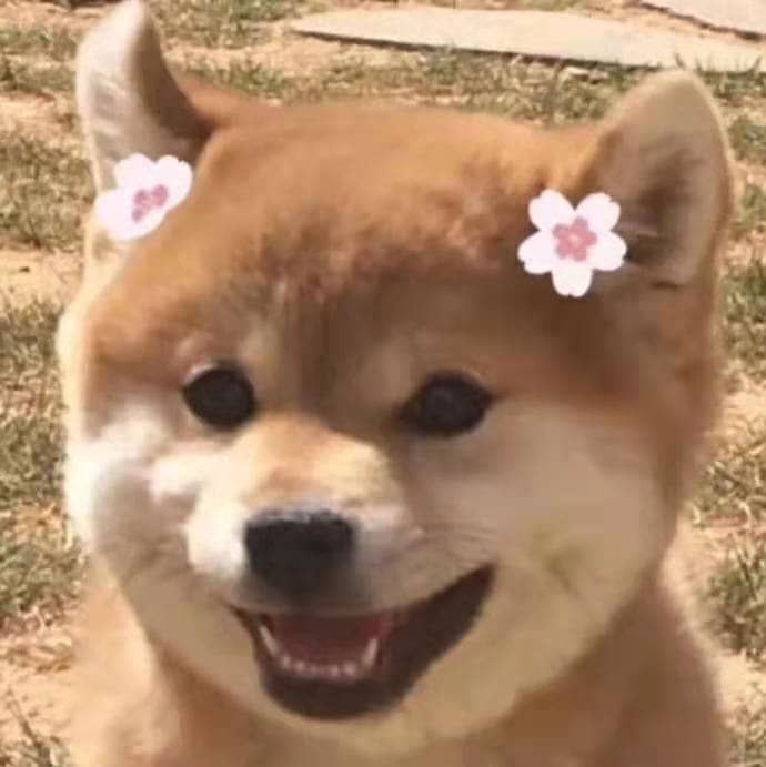 萌慢玩飞机杯名器测评-萌新挚友,超高的性价比,非常适合新入坑的杯友。6 萌慢玩飞机杯名器测评-萌新挚友,超高的性价比,非常适合新入坑的杯友。6