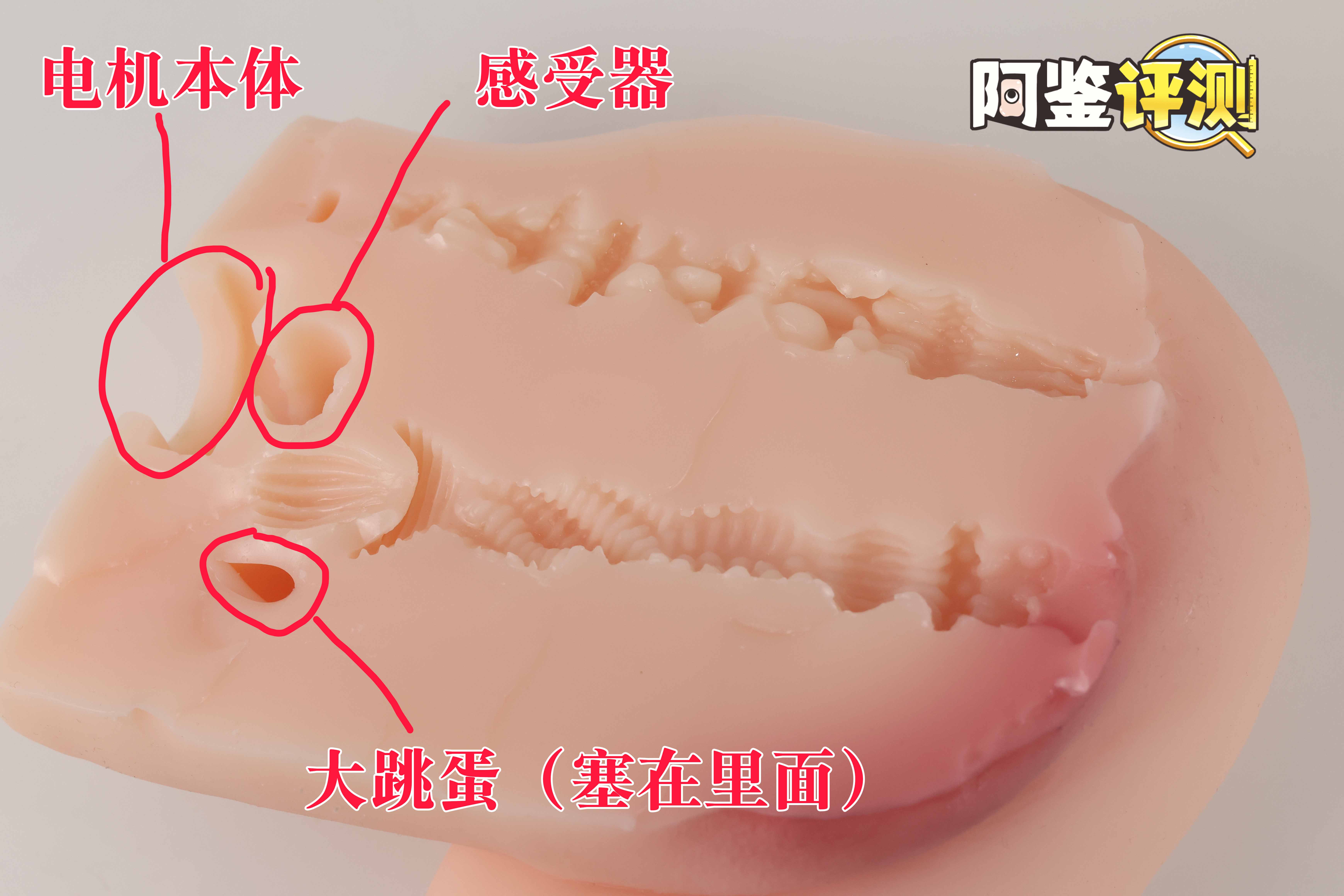 趣网COC——“杯魔女”评测!屁股就是用来拍的!爆笑流“抖动”臀模!17 趣网COC——“杯魔女”评测!屁股就是用来拍的!爆笑流“抖动”臀模!17