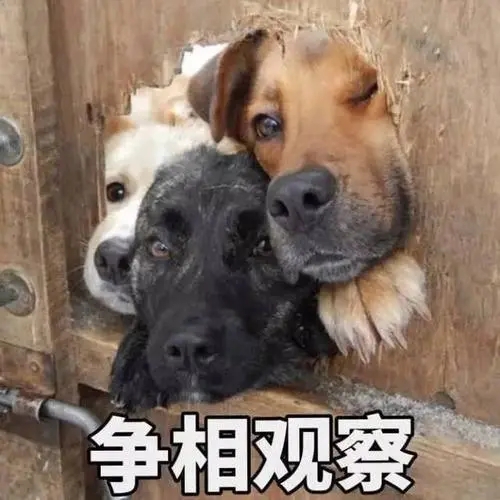 YUU萌新之臀飞机杯名器评测 – 双重享受,一次满足9 YUU萌新之臀飞机杯名器评测 – 双重享受,一次满足9