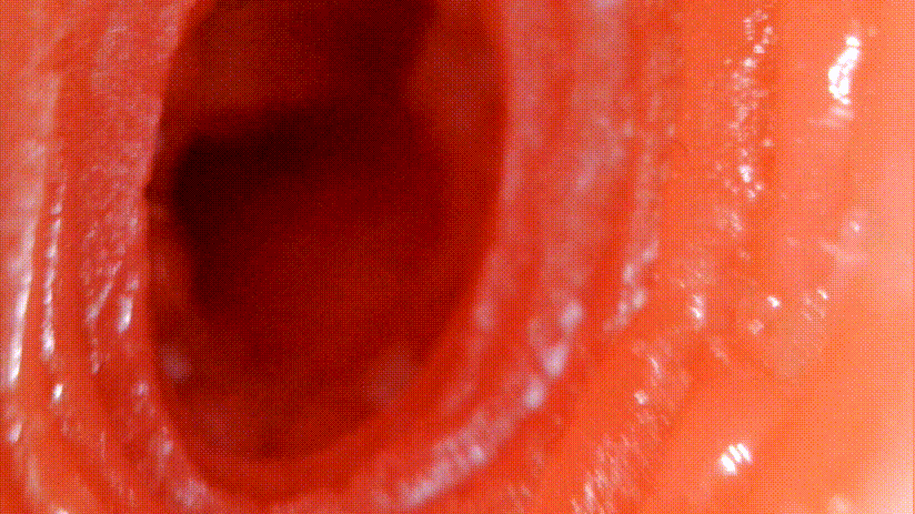 TMT“彼女姐姐”飞机杯评测 – 我拿下女神的秘诀就是它!11 TMT“彼女姐姐”飞机杯评测 – 我拿下女神的秘诀就是它!11