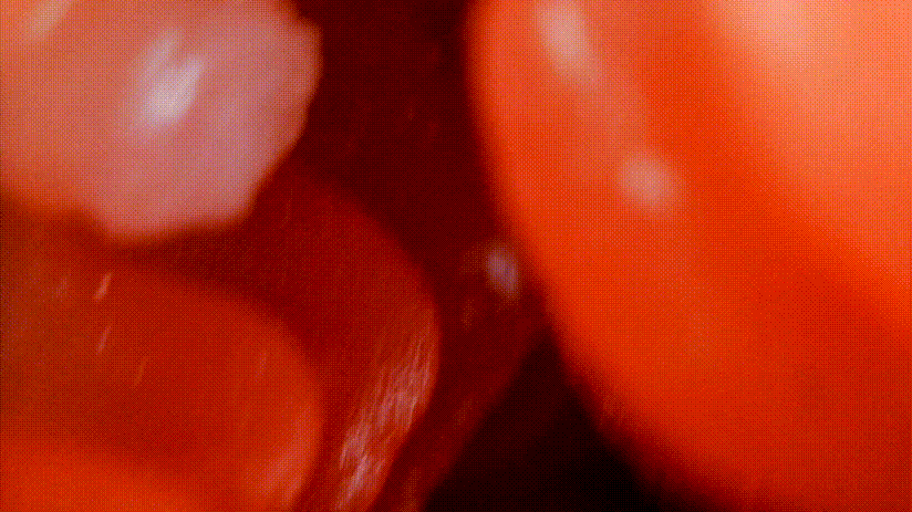 TMT“彼女姐姐”飞机杯评测 – 我拿下女神的秘诀就是它!13 TMT“彼女姐姐”飞机杯评测 – 我拿下女神的秘诀就是它!13