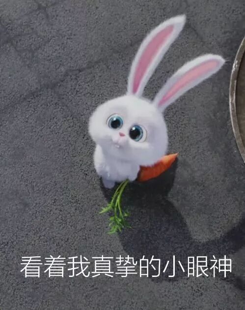 EXE奶瓶1代飞机杯刺激版评测4 EXE奶瓶1代飞机杯刺激版评测4