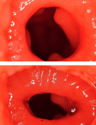 YUU 小优物语飞机杯 – 来自一个素人老哥的投稿，非常详细，可当新手教程！22