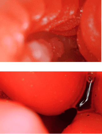 YUU 小优物语飞机杯 – 来自一个素人老哥的投稿，非常详细，可当新手教程！23