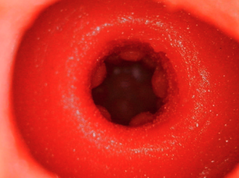 YUU 小优物语飞机杯 – 来自一个素人老哥的投稿，非常详细，可当新手教程！24