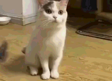 这款BDSM调教箱比王牌特工的还叼13 这款BDSM调教箱比王牌特工的还叼13