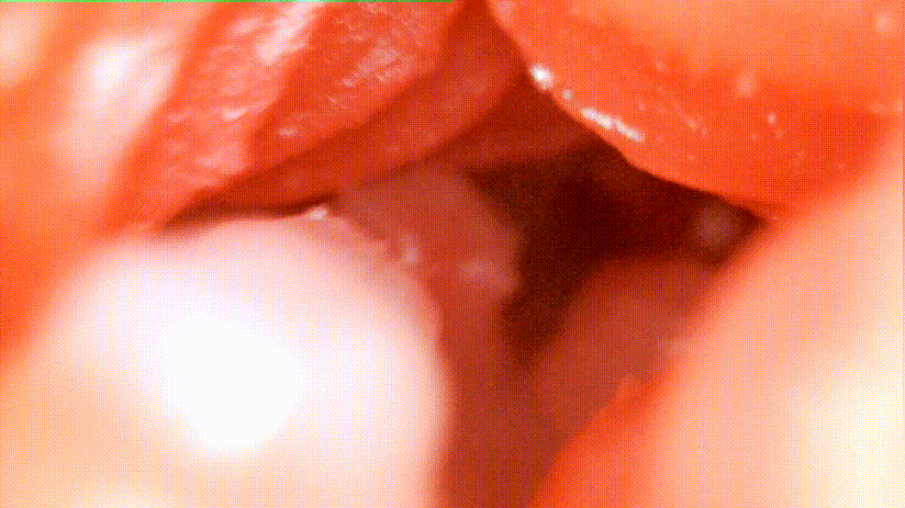 我拿下女神的秘诀就是它!–评测TMT“彼女姐姐”名器!真香!17 我拿下女神的秘诀就是它!–评测TMT“彼女姐姐”名器!真香!17