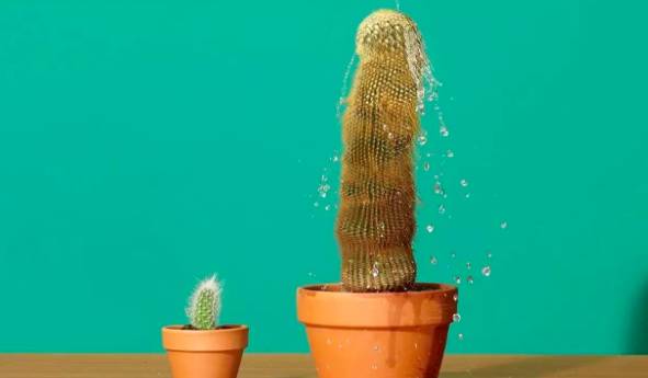 如果你知道擦隔离防晒，就应该备几款润滑液12