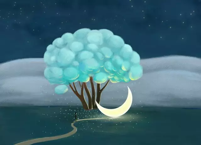 评测：一样的飞机杯,不一样的妙(shen)评