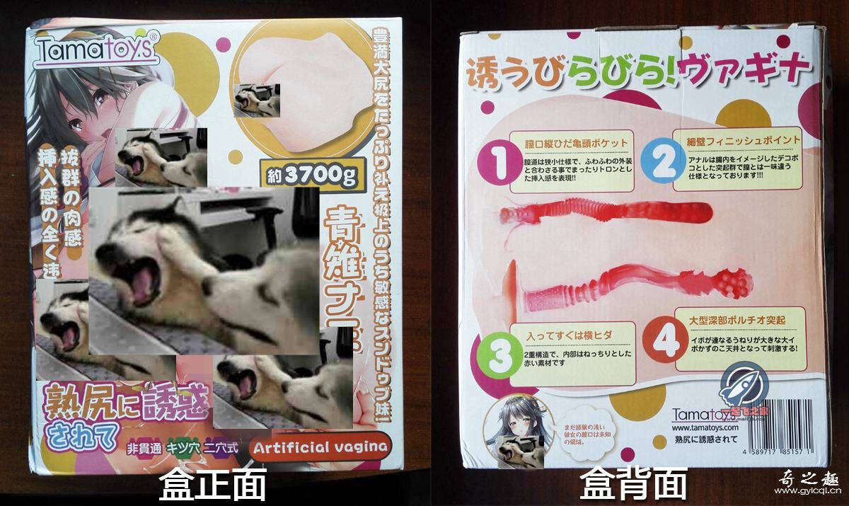 “战锤4k小霸王”—tamatoys青雉熟尻（中等刺激）评测 – ¥400-800区间 – 5星推荐2