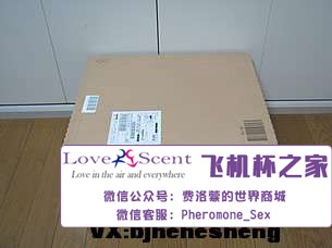 日本Ride Japan VDD动漫名器高肉厚包裹二次元男用飞机杯实测4