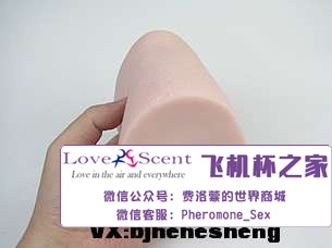 日本Ride Japan VDD动漫名器高肉厚包裹二次元男用飞机杯实测11