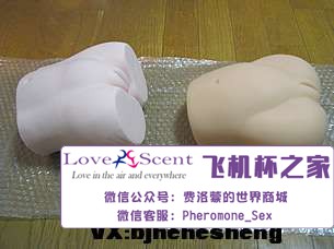 日本进口Magic eyes 奇迹环动漫飞机杯男士自慰器测评5