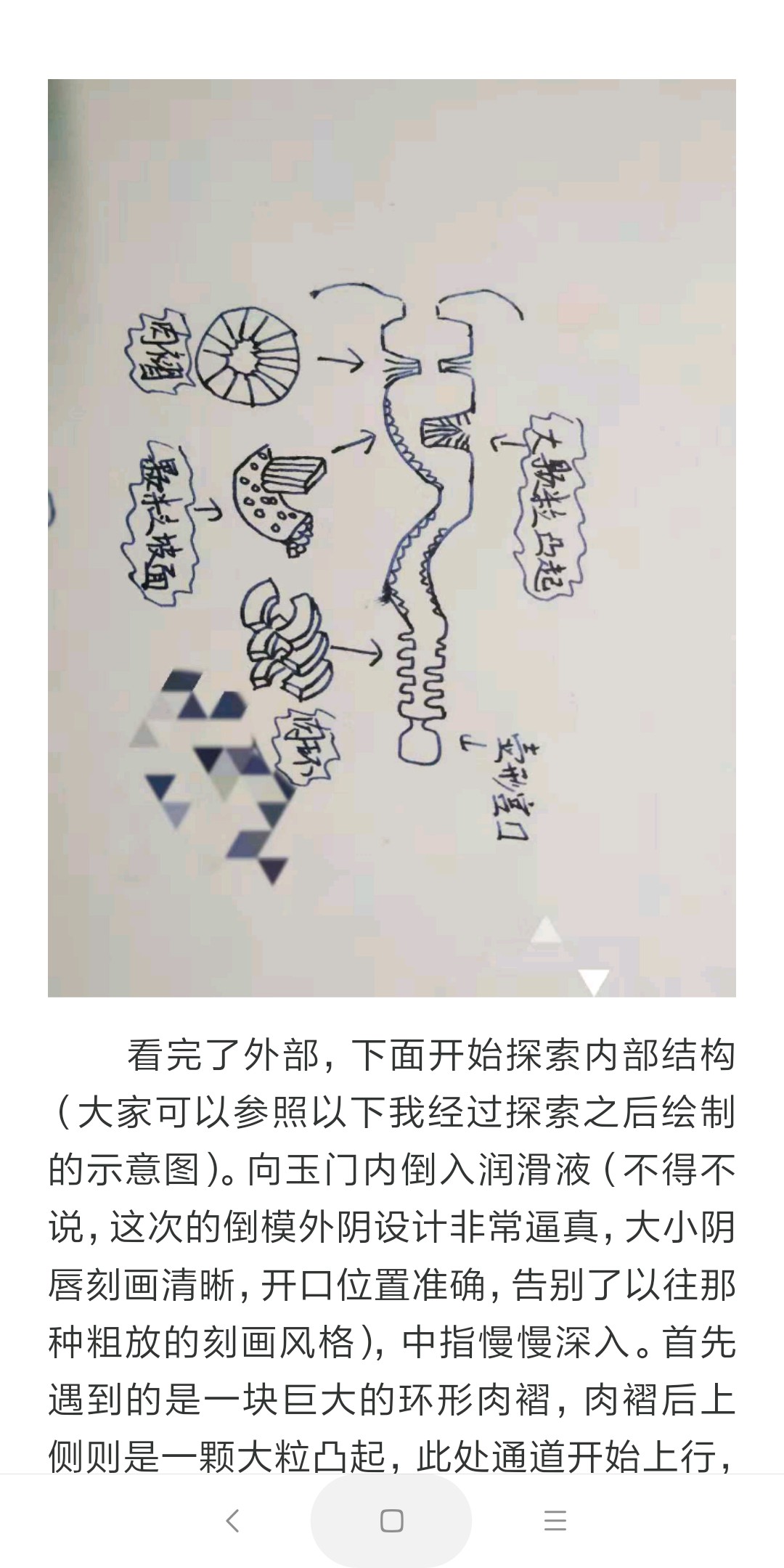 日本NPG证明名器芦名尤莉亚名男用阴臀倒模飞机杯自慰器测评3