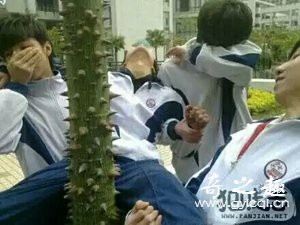 “黑猫会长初体验”—对子哈特性徒会长(中高刺激)评测 – ¥200-400区间 – 3星推荐8 “黑猫会长初体验”—对子哈特性徒会长(中高刺激)评测 – ¥200-400区间 – 3星推荐8